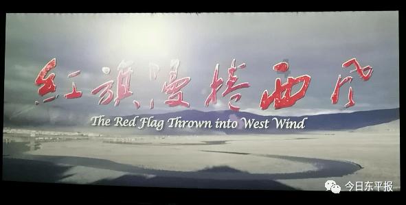 【以案说法】社保缴费可以退？这个法律知识点了解一下？